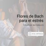 como-aliviar-el-estres-con-flores-de-bach