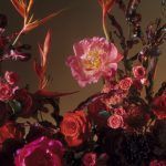 Flores de Bach para mejorar tus relaciones interpersonales flores-de-bach-para-mejorar-tus-relaciones-interpersonales